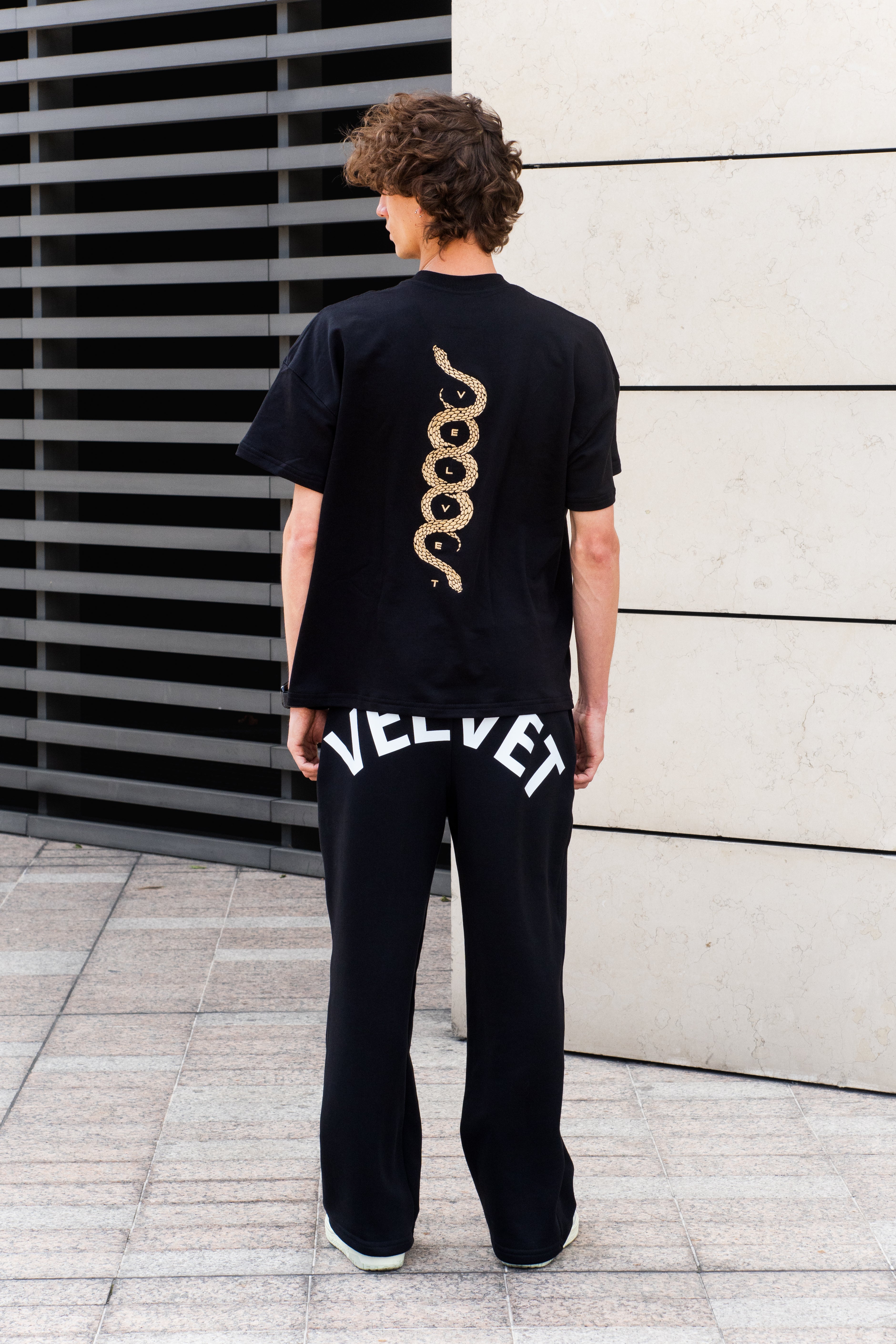 Camiseta Black Viper